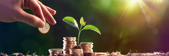 Mutual funds illustration